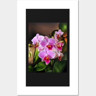 Phalaenopsis Orchid Posters and Art